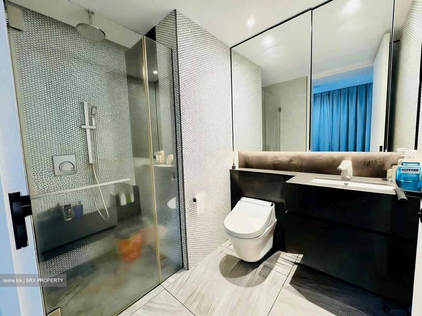 10 Evelyn (D11), Apartment #576549541